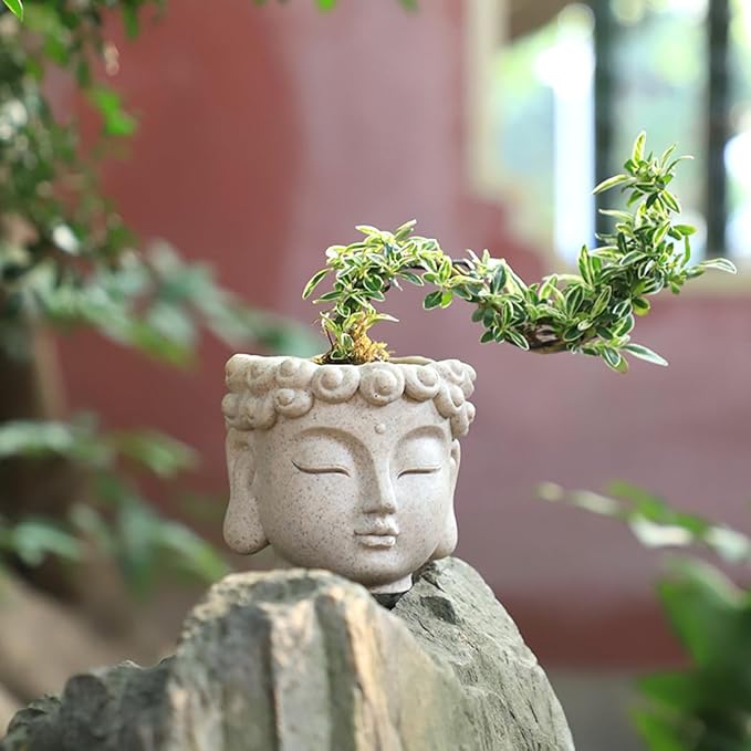 Buddha Head Planter, Unique Face Plant Pot with Drainage Hole, Small Resin Flower Succulents Pot for Indoor Outdoor Plants, Home Garden Decor (01#)