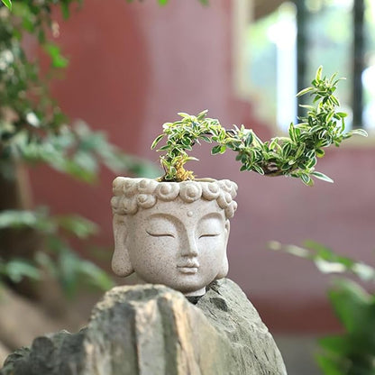 Buddha Head Planter, Unique Face Plant Pot with Drainage Hole, Small Resin Flower Succulents Pot for Indoor Outdoor Plants, Home Garden Decor (01#)