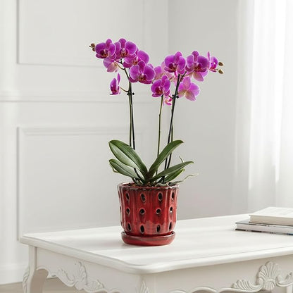 Orchid Pots 4.9Inch Ceramic Orchid Pots with Holes Set of 2 (Red)
