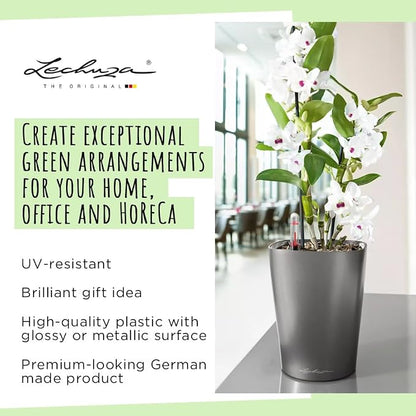Lechuza 14900 Deltini Self-Watering Planter for Indoor and Outdoor Use, 6" x 6" x 7", White