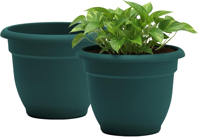 Bloem Ariana 10" Plastic Self-Watering Planter, Charleston Green, 2-Pack | Self-watering disk at the bottom of each pot that acts as a water wick and reservoir for optimal plant health