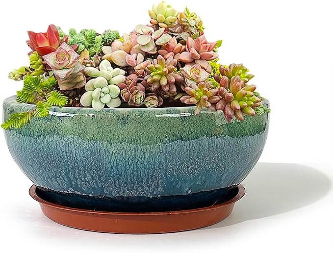 9 Inch Glazed Terracotta Plant Pot Round Ceramic Succulent Planter Pot with Drainage and Mesh Pad Cactus Clay Bonsai Pot (Green)