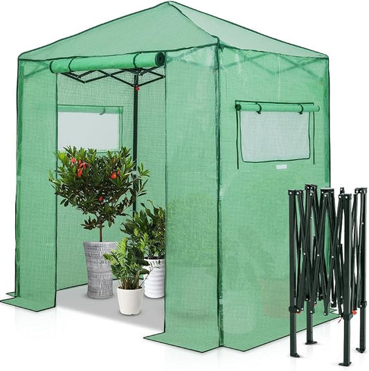 EAGLE PEAK 6x4 Portable Walk in Greenhouse, Pop Up Indoor Outdoor Greenhouse, Green House Kit with Zippered Roll-Up Doors and Windows, PE Cover, Clear/Green