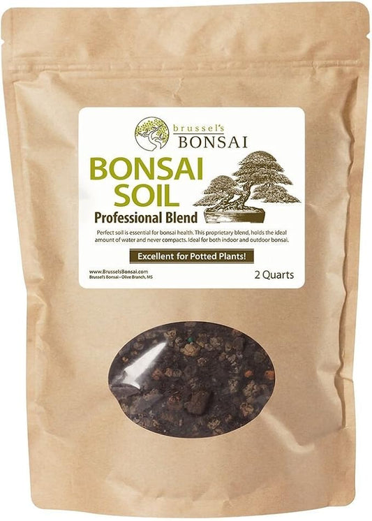 Brussel's Bonsai - Professional Bonsai Potting Soil, 2 Qt | 2 Qt Potting Soil, Professional Bonsai Blend, Supports Drainage, Root Care, Indoor & Outdoor Bonsai Trees
