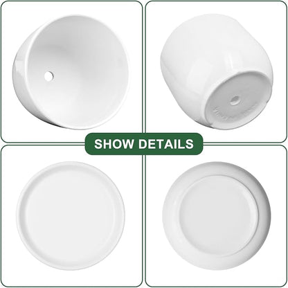 Ceramic Plant Pots,White 6.7 Inch Flower Pots for Plants,Ceramic Planter with Drainage Holes,Indoor Planter Pots with Saucer,Outdoor Garden Pots (White, 2 Pack)