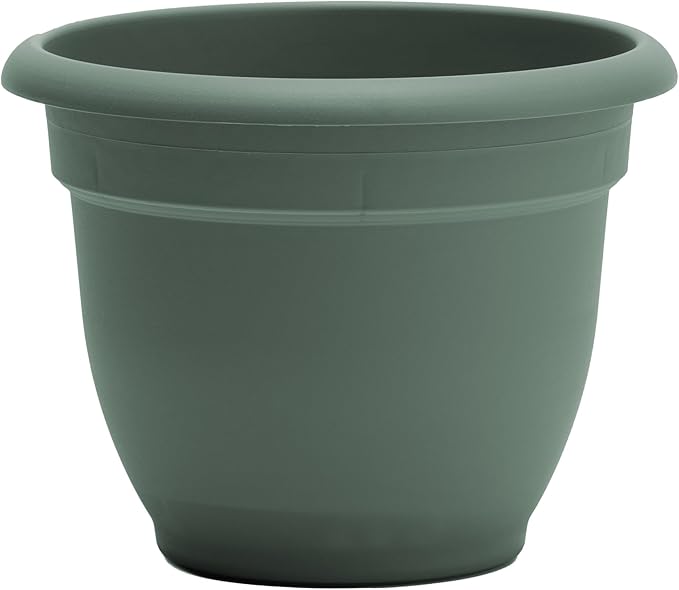 Bloem Ariana 16" Plastic Self-Watering Planter, Basil, 2-Pack | Self-watering disk at the bottom of each pot that acts as a water wick and reservoir for optimal plant health