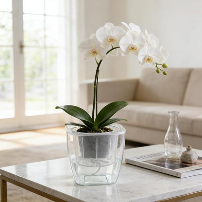 3-Pack Clear Self Watering Planters for Indoor Plants 7" Large African Violet Plant Pots Plastic Wick Flower Pots with Water Injection Hole, Orchid Plant Pot Set, Clear
