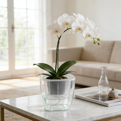 6-Pack 7 Inches Clear Self Watering Planters for Indoor Plants Large African Violet Plant Pots Plastic Wick Flower Pots with Water Injection Hole, Orchid Plant Pot Set, Clear