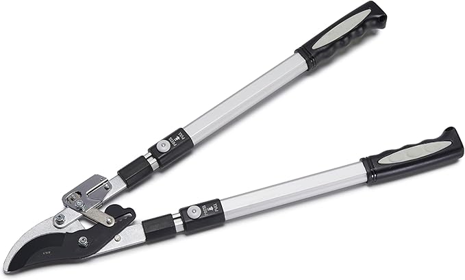 Tree Trimmer Loppers - Double Ratcheting Bypass Pruners - Extendable 26" - 40" Long Handles - Loppers for Tree Trimming Heavy Duty by Kings County Tools