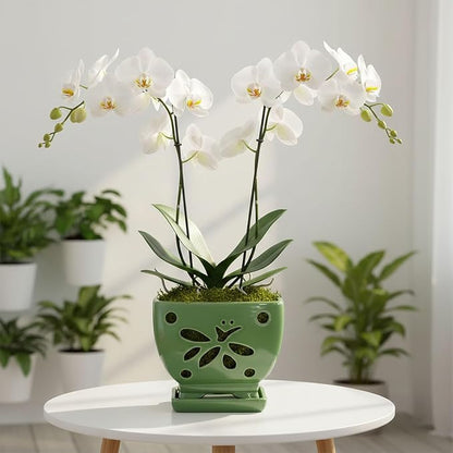 Orchid Pots with Holes Square Ceramic Orchid Planter Pots 5.5 inch (Green)