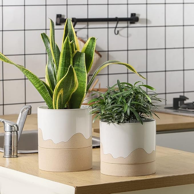 Nihow Ceramic Plant Pot,6 Inch Planter with Drainage Hole&Saucer for Indoor | White & Nature,Indoor & Outdoor, Cylinder Round Flower Pot, For Succulent/Herbs/Violets