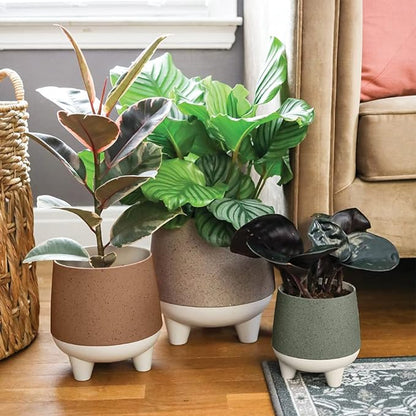 The HC Companies 8 Inch Orion Self Watering Planter - Lightweight Indoor Plastic Plant Pot for Herbs and Flowers, Greige