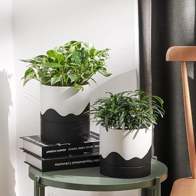 Nihow Ceramic Plant Pot,6 Inch Planter with Drainage Hole&Saucer for Indoor | White & Black,Indoor & Outdoor, Cylinder Round Flower Pot, For Succulent/Herbs/Violets