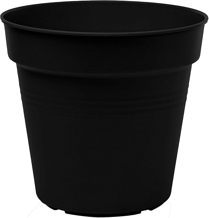 Mintra Garden Pots, 4 Pack Bulk Plastic Plant Pots with Drainage Tray, Round Indoor & Outdoor Decorative Planters with Drain Holes for Flowers, Herbs & Plants, 15cm Diameter – Black, 5.9 in