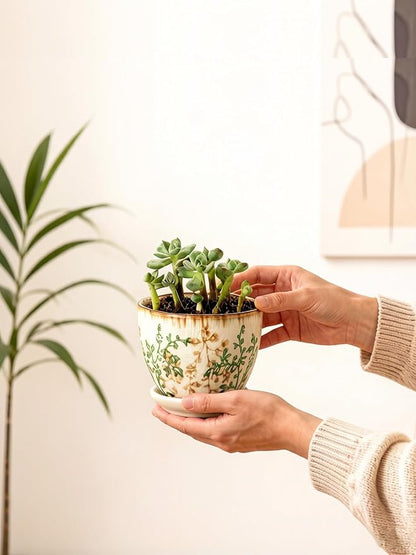 Ceramic Plant Pots, Nursery Pots with Drainage Hole, 3.5 Inch Succulent Pots for Plants, Small Indoor Flower Pots, Modern Decorative Planters for House Plants, Garden Planters, White Green
