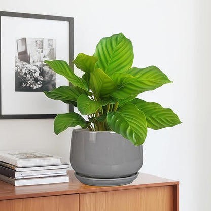 G EPGardening Ceramic Planter 7 Inch, Round, Modern, Grey | with Drainage, Ceramic Tray Included, Indoor Use, Flower & Home Decor