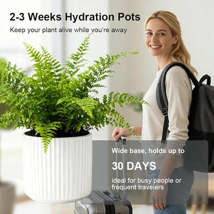 2 Pack of 6in Ceramic Cachepot with Clear Orchid Pot - self Watering Indoor Planter with Drainage for Root Visibility,semi Hydro pots for repotting Orchid,White