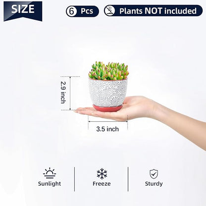 Selamica Ceramic Succulent Pots, 3.5 Inch Small Plant Pots for Indoor Plants Cactus Herbs, Succulent Planters with Drainage Holes & Saucers, Home Decor, Set of 6, Assorted Colors