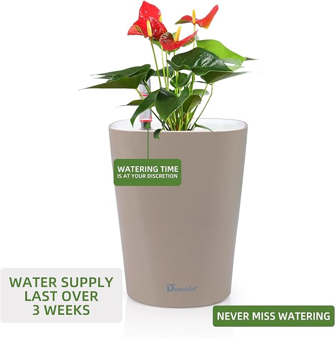 Dexceder 6x7 Self Watering Planter (Taupe) | High Gloss Table Flower Plant Pot with Water Level Indicator Indoor Outdoor