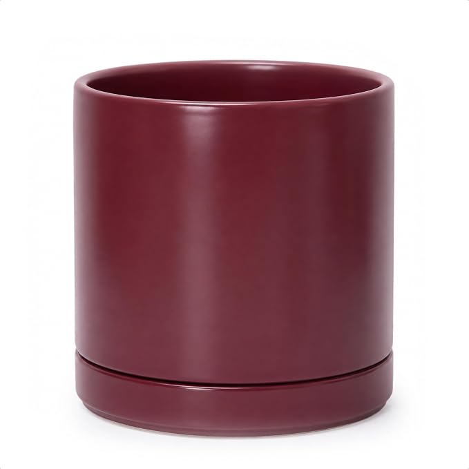 D'vine Dev 10 Inch Ceramic Planter Pot with Drainage Hole and Saucer, Indoor Cylinder Round Planter Pot, Cordovan, 94-O-E-4