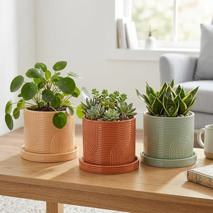 6 Inch Ceramic Plant Pot with Drainage Hole & Tray – Indoor Planter for Succulents, Herbs & Houseplants – Modern Ceramic Planter with Mesh Pad, Dibber & Widger – Terracotta