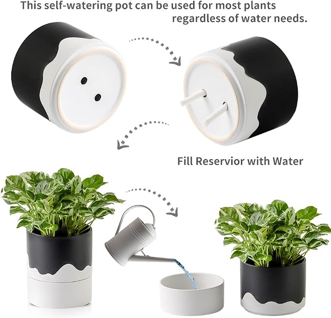 Nihow Ceramic Self Watering Plant Pot for Indoor Plants,6 Inch,Black White | Planter with Cotton Wick, Drainage Hole & Water Storage Plus, Cylinder Round Flower Pot, For Succulent/Herbs/Violets