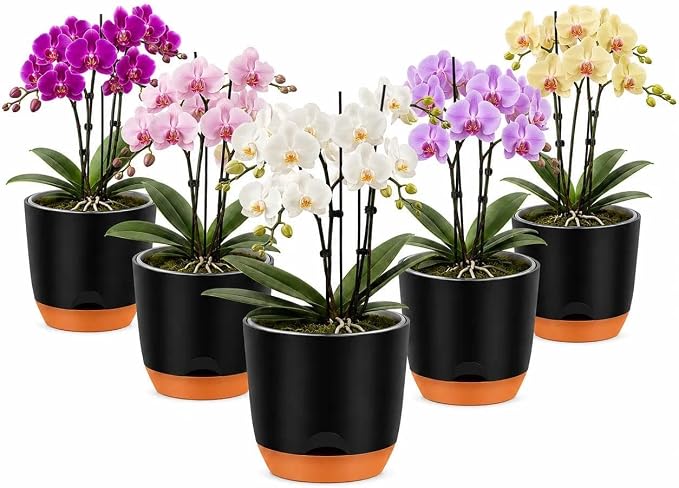 QCQHDU 5.7Inch Orchid Pots with Holes for Repotting, Double-Layer Plastic Self Watering Flower Pots for Indoor Plants with Drainage Holes, Clear Orchid Pot Match Decorative Orchid Container, 5 Packs