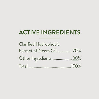 Garden Safe Neem Oil, 10 Fl Oz, Case Pack of 6