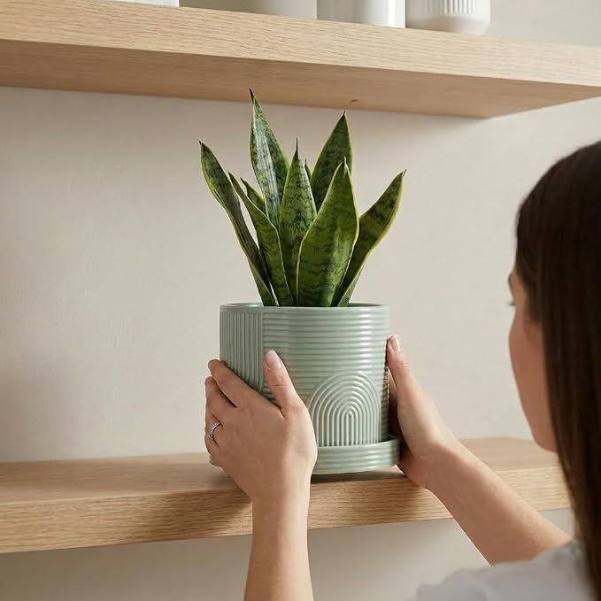 6 Inch Ceramic Plant Pot with Drainage Hole & Tray – Indoor Planter for Succulents, Herbs & Houseplants – Modern Ceramic Planter with Mesh Pad, Dibber & Widger – Sage Green
