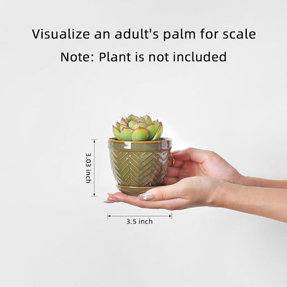 Sureasy Succulent Pots, 3.5 Inch Flower Pots for Indoor Plants, Small Plant Pots with Saucer & Drainage, Decorative Ceramic Planters for Succulent, Cactus, Set of 4, Green