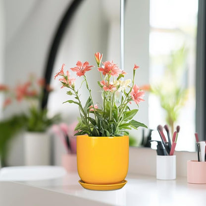 Plant Pot 5 Inch - Modern Round Indoor Ceramic Planter with Drainage Hole and Tray for Succulent Cactus Herbs Plants, Home House Garden Office Decor, Yellow