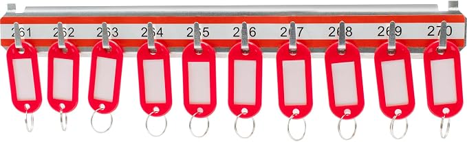 BARSKA Labeled Key Shelves with 201-300 Numbered Hooks for Key Cabinets