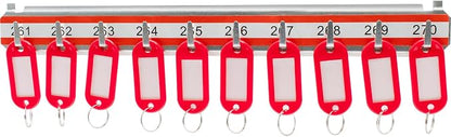 BARSKA Labeled Key Shelves with 201-300 Numbered Hooks for Key Cabinets