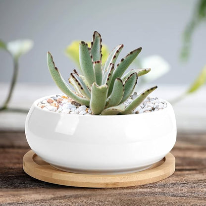 ZOUTOG 2 Pack Succulent Pots, 6 inch Ceramic Planters for Indoor Plants with Bamboo Tray, Pots with Drainage, Seeds＆ Plants Not Included