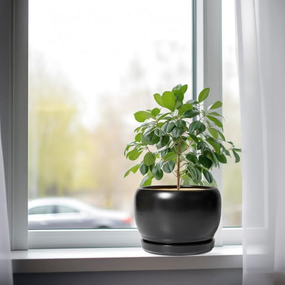 SQOWL Ceramic Plant Pots - 8 Inch Planter Indoor, Round Flower Pot with Drainage Hole and Saucer, Modern Outdoor Planter, Apartment Decor, Gifts for Plant Lovers, Black