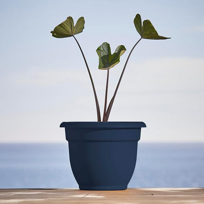 Bloem Ariana 12" Plastic Self-Watering Planter, Navy, 2-Pack | Self-watering disk at the bottom of each pot that acts as a water wick and reservoir for optimal plant health