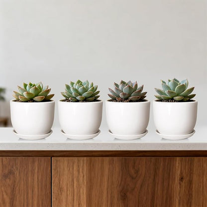 Ceramic Plant Pots,White 5.5 Inch Flower Pots for Plants,Ceramic Planter with Drainage Holes,Indoor Planter Pots with Saucer,Outdoor Garden Pots (White, 4 Pack)