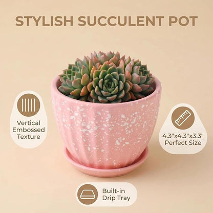 4 Inch Ceramic Succulent Planter Pots with Drainage Holes and Saucers for Indoor Succulent, Bonsai, Cactus, Small Flower (Red)