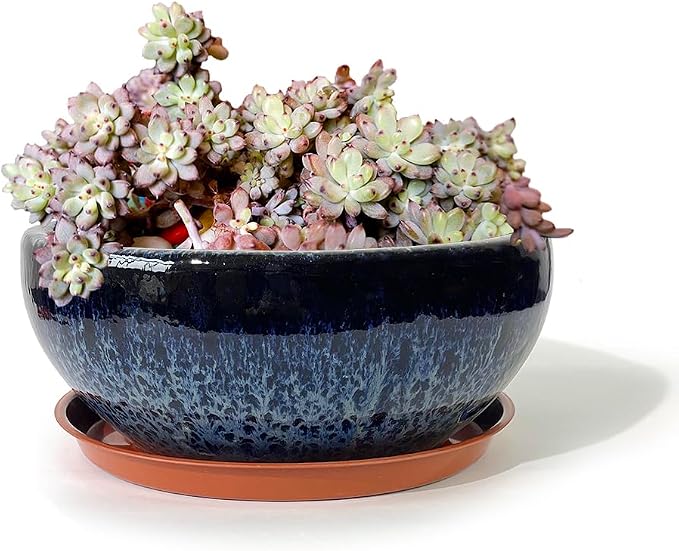 9 Inch Glazed Terracotta Plant Pot Round Ceramic Succulent Planter Pot with Drainage and Mesh Pad Cactus Clay Bonsai Pot (Blue)
