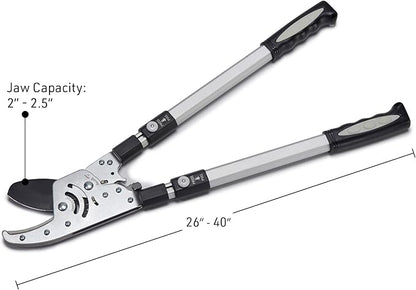 Tree Trimmer Loppers - Double Ratcheting Anvil Lopper - Extendable 26" - 40" Long Handles - Loppers for Tree Trimming Heavy Duty by Kings County Tools