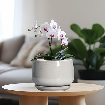 G EPGardening Ceramic Plant Pots - 7 Inch Plant Pot with Drainage and Saucer, Ceramic Planters for Indoor Outdoor Plants, Modern Round Planter, Room Decor, Gardening Gifts for Women Men, Light Grey