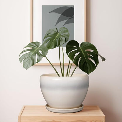 Ceramicfor 10 Inch Ceramic Planter Pot - Large Plant Pot with Drainage Hole and Saucer Round Flower Pot for Indoor Plants, White