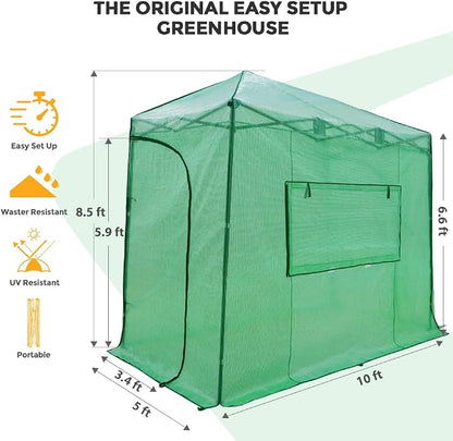 EAGLE PEAK 10x5 Portable Walk in Greenhouse, Pop Up Indoor Outdoor Greenhouse, Green House Kit with Zippered Roll-Up Doors and Windows, Lean-to Design, PE Cover, Clear/Green