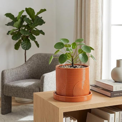 6 Inch Ceramic Plant Pot with Drainage Hole & Tray – Indoor Planter for Succulents, Herbs & Houseplants – Modern Ceramic Planter with Mesh Pad, Dibber & Widger – Terracotta
