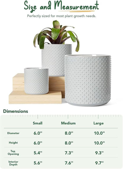 LE TAUCI 10+8+6 Inch Ceramic Pots for Plants, Indoor Planters with Drainage Hole and Plug, Raised Dots Cylinder Flower Pots Set of 3 for Office and Living Room, Glossy, Star Gray