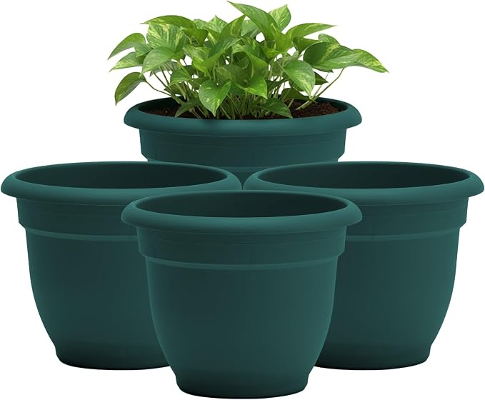 Bloem Ariana 8" Plastic Self-Watering Planter, Charleston Green, 4-Pack | Self-watering disk at the bottom of each pot that acts as a water wick and reservoir for optimal plant health