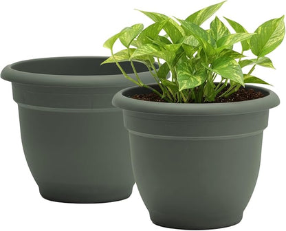 Bloem Ariana 12" Plastic Self-Watering Planter, Basil, 2-Pack | Self-watering disk at the bottom of each pot that acts as a water wick and reservoir for optimal plant health
