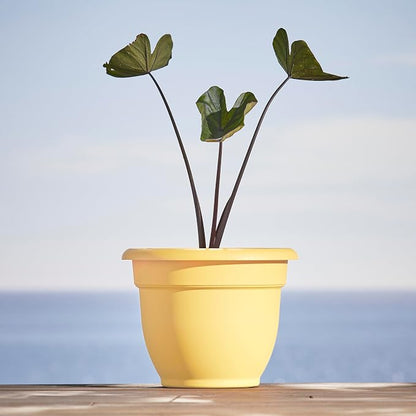 Bloem Ariana 12" Plastic Self-Watering Planter, Daffodil, 2-Pack | Self-watering disk at the bottom of each pot that acts as a water wick and reservoir for optimal plant health