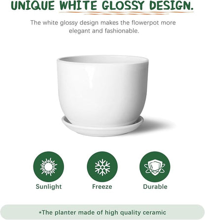 8 Inch Ceramic Planter, Plant Pots with Drainage Hole and Separable Saucer,Indoor-Outdoor Round Succulent Orchid Flower Pot,Indoor pots for Plants(White,Plant Pot only)