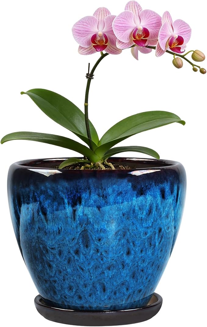 Ceramic Plant Pots with Saucer, 6 inch Glaze Planters for Indoor Plants with Drainage Holes, Decorative Small Flower Pots Outdoor, Modern Succulent Pots for Home Room Decor